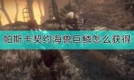 帕斯卡契约终极版修改器在哪下载