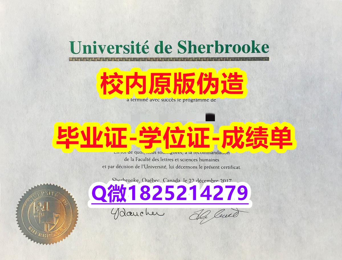帕斯卡契约组合技速成指南：轻松掌握核心技巧