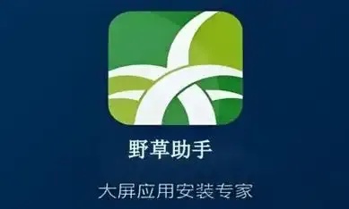 苹果狒狒派对辅助工具必备指南
