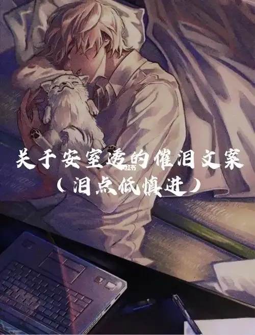 枪林弹雨前一句是什么？解析