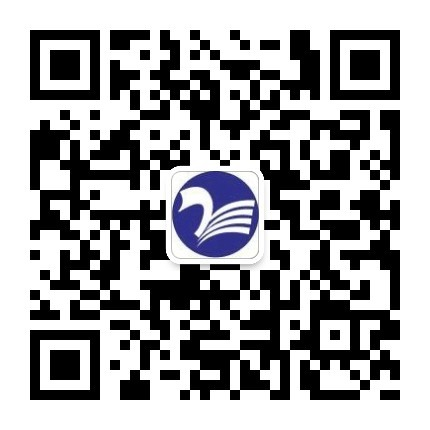 枪林弹雨蔷薇辅助破解版下载安装全攻略