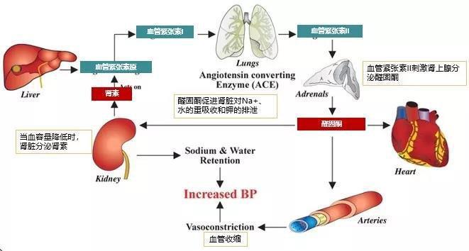 球球大作战脚本源码