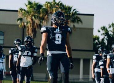 球球大作战小伞攻略：掌握无敌小伞技能的秘密