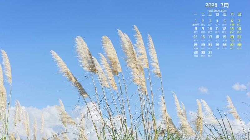 球球大作战助手下载：轻松获取游戏辅助工具