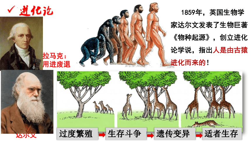 人类跌楼梦境
