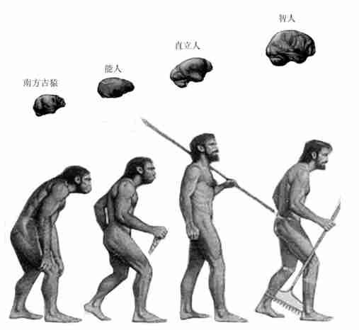 人类跌落梦境：探索玩法与机制