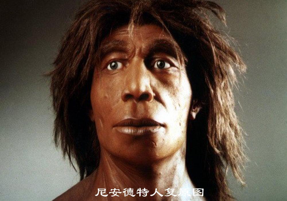 人类跌落梦境》联机版免费下载