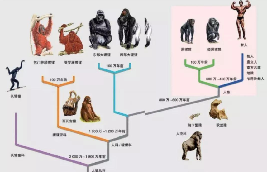 人类跌落梦境美服 惊悚！虚幻之境竟成致命禁区？