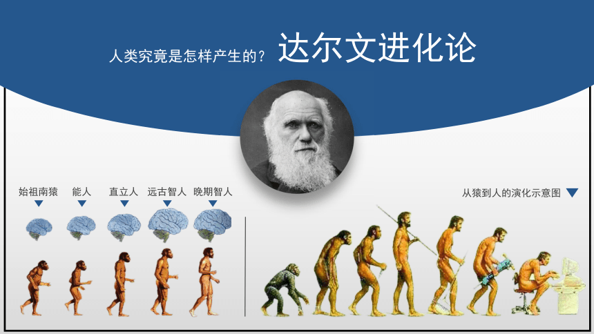人类跌落梦境手机版下载