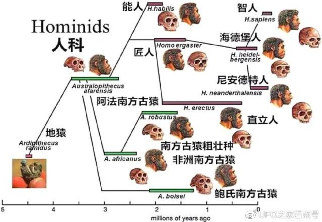 人类跌落梦境炫技牛人