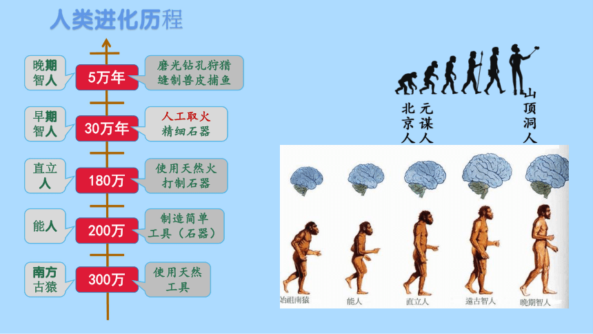 人类跌落梦境怎么开挂？终极秘籍大揭秘！