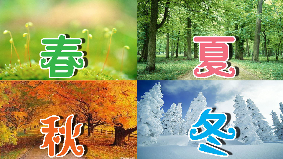 天刀脚本教程详解