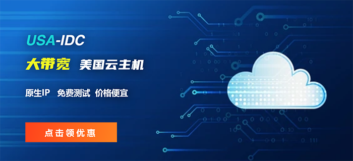 选择美国云服务器的IP地址解析指南