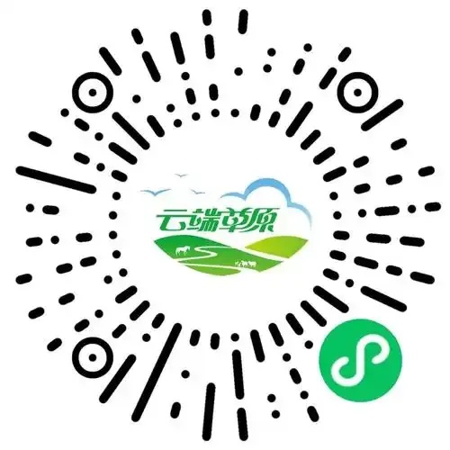 云端传奇：官方网站震撼亮相，尽在指尖