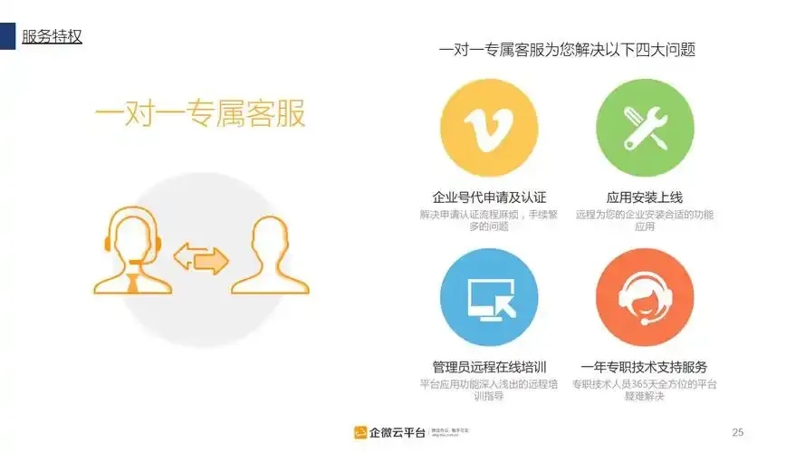云服务VIP：提升您的在线体验
