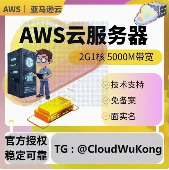 云服务器：轻松上网的新选择