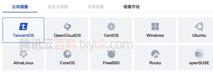 云服务器CVM解析：从基础到应用的全面指南