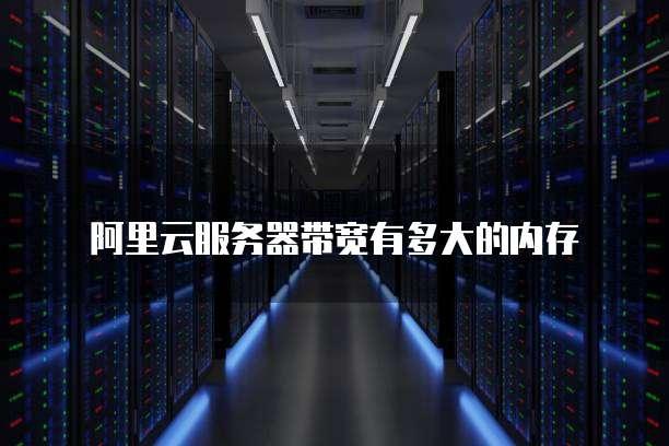 云服务器容量大揭秘：满足您各种需求