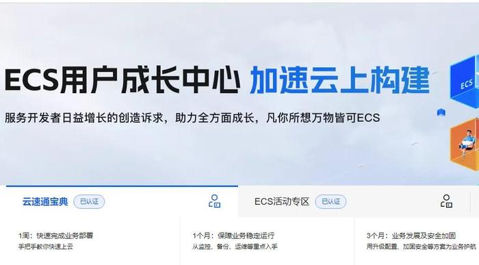 ECS云服务器支持挂载哪些类型数据盘及选配指南