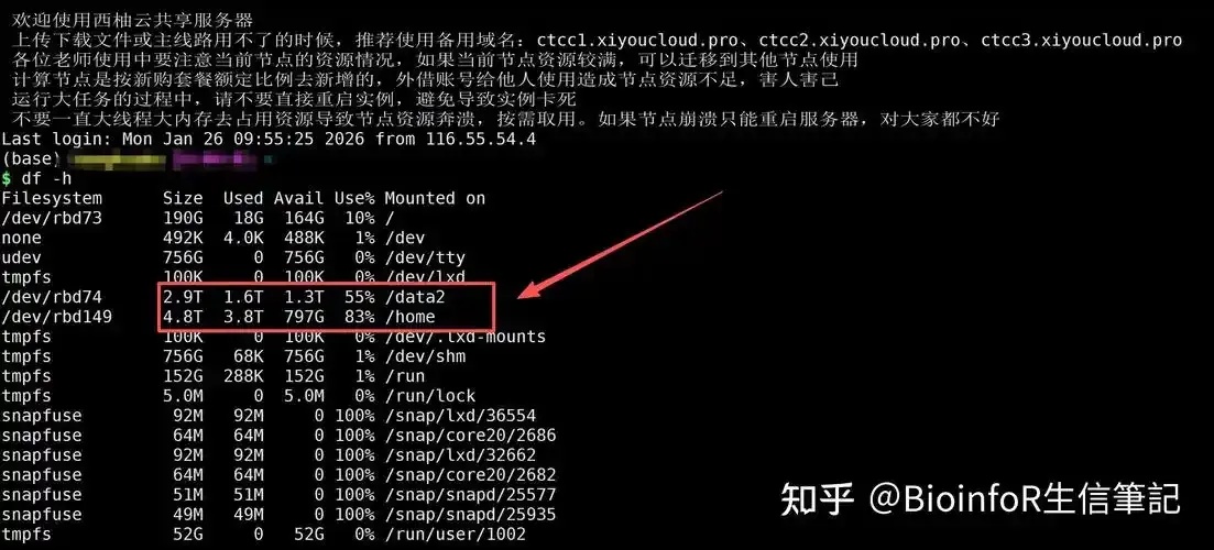 知乎实测服务器2G内存够用吗性能分析与应用建议