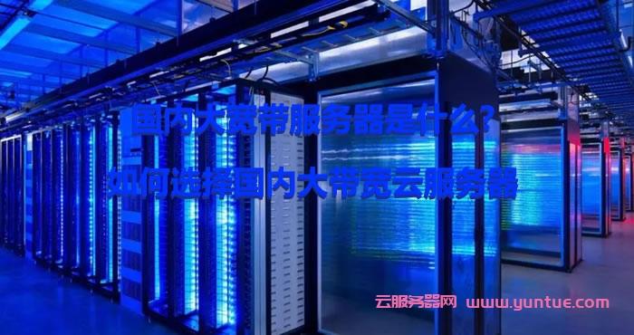 服务器5m带宽是什么概念