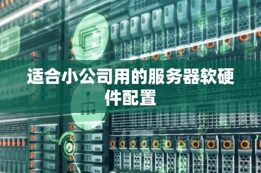 最便宜的服务器配置软件_2