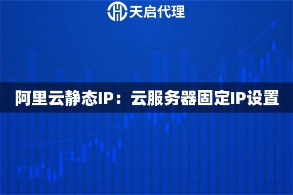 云服务器IP地址是什么及如何设置与检查