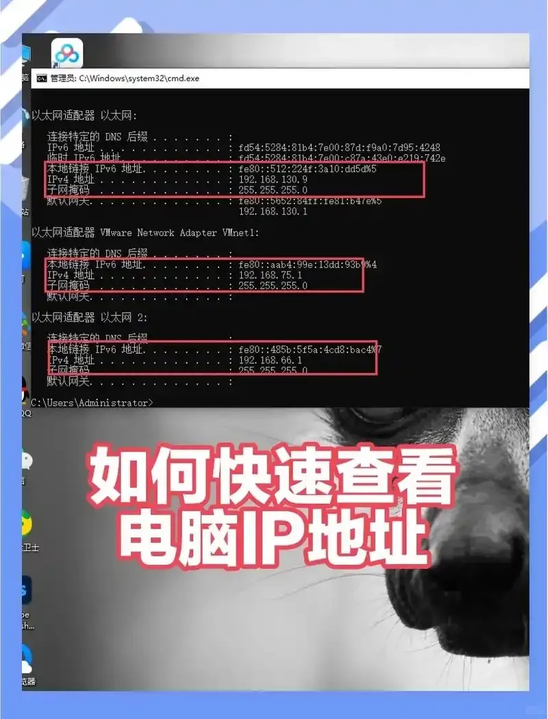 如何查看云服务器IP地址的详细步骤教程