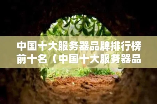 2023国内十大云服务器品牌排行榜权威发布