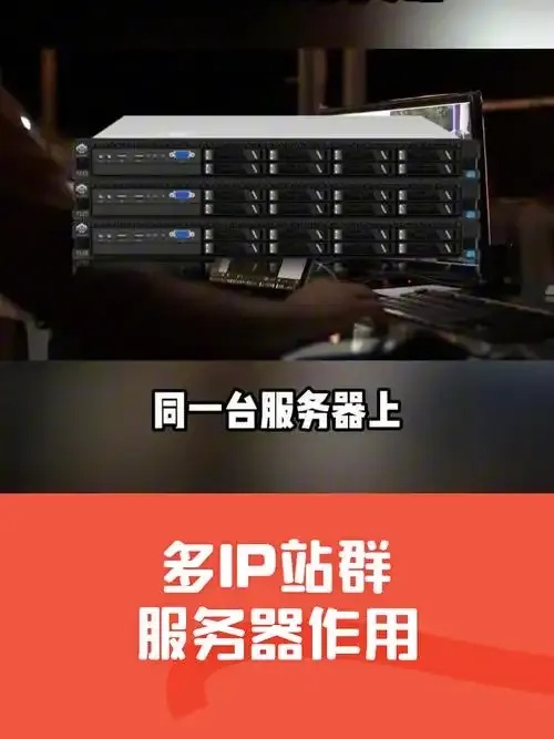 美国多ip站群服务器搭建代理