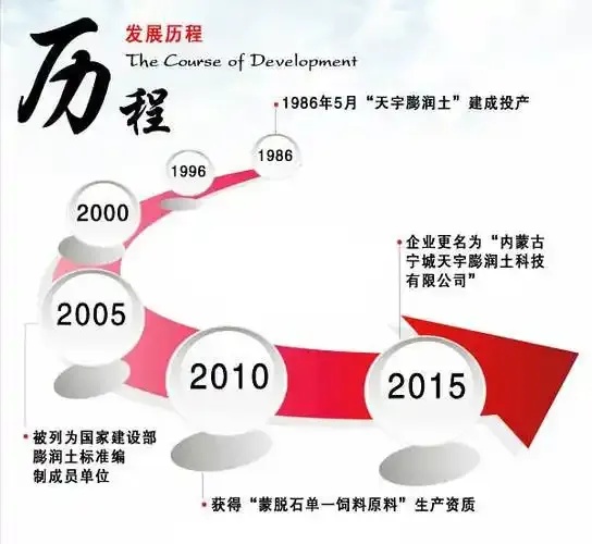 发展历程如何撰写关键要素与案例解析指南