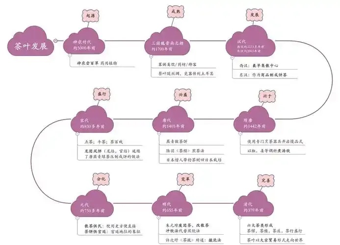 发展历程图模板
