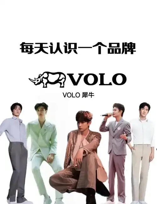 Volo品牌怎么样口碑质量性价比深度解析