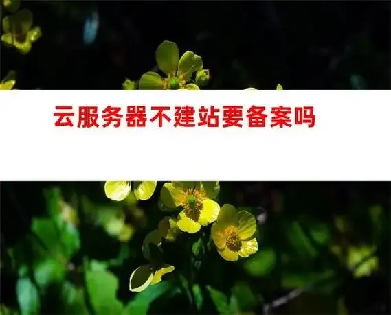 购买云服务器不备案可行吗法律法规及风险全解析