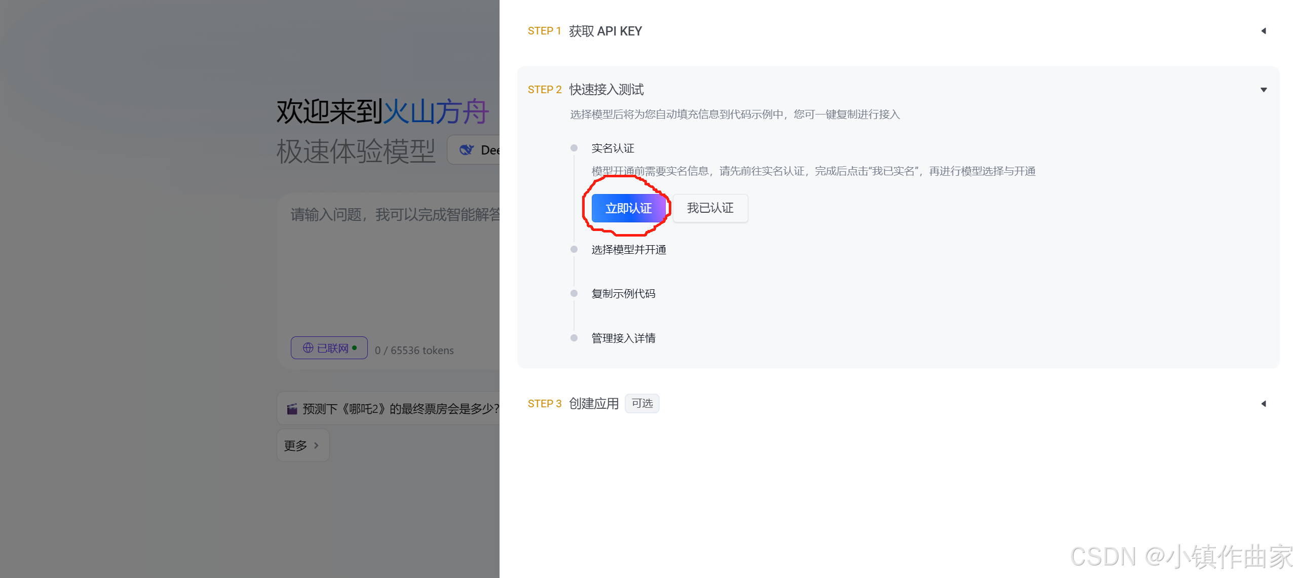 火山大模型官网使用教程：详细步骤及新手必知指南