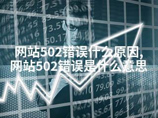 网易云服务器发生错误502