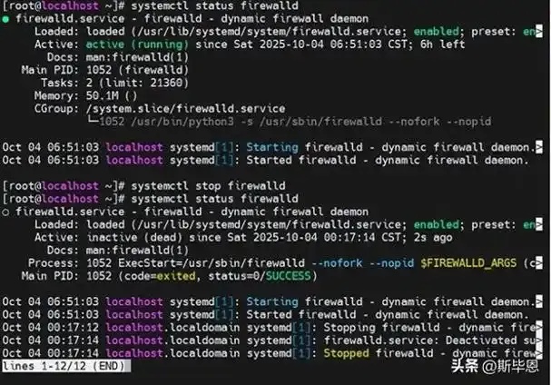 2h2g服务器能否部署Halo和MySQL