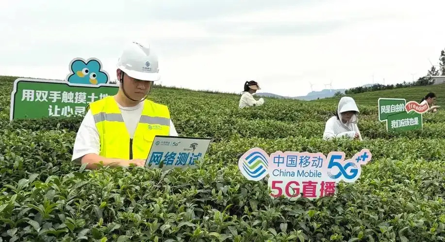 10元一斤水果还能买什么